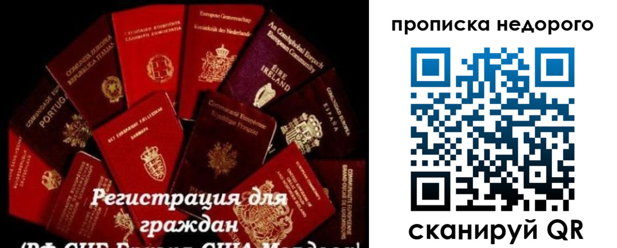 временная регистрация недорого в Электростали